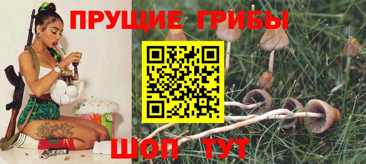 Псилоцибиновые грибы мицелий  Псилоцибиновые грибы мухоморы  Новоалтайск  купить   Вход с VPN 